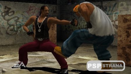 Def Jam Fight for NY: The Takeover [ENG] [  PSP]