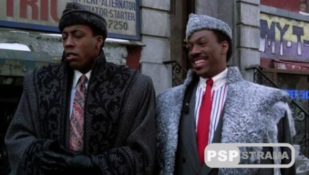    / Coming to America [DVDRip]
