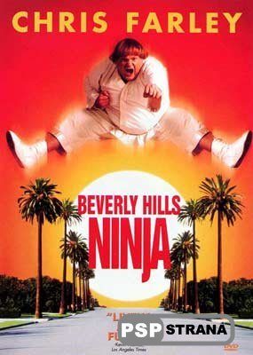      Beverly Hills Ninja (DVDRip) [1997]