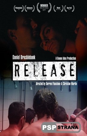  / Release (2010) DVDRip