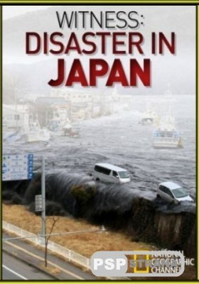   :   / Witness: Disaster In Japan (2011)SATRip