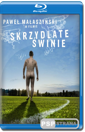   / Skrzydlate Swinie (2010) HDRip