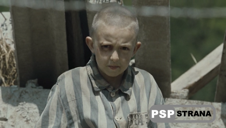     / The Boy in the Striped Pyjamas (2008) HDRip