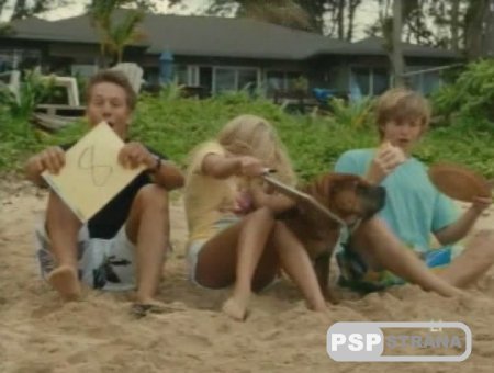   / Soul Surfer (2011) DVDScr