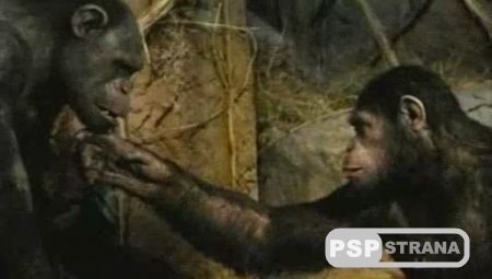    / Rise of the Planet of the Apes (2011) TS *PROPER*