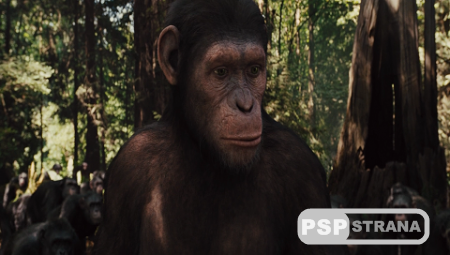    / Rise of the Planet of the Apes (2011) TS *PROPER*