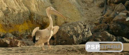  / Nicostratos le pelican (2011 ) DVDRip
