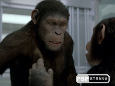 PSP     / Rise of the Planet of the Apes (2011/HDRip)