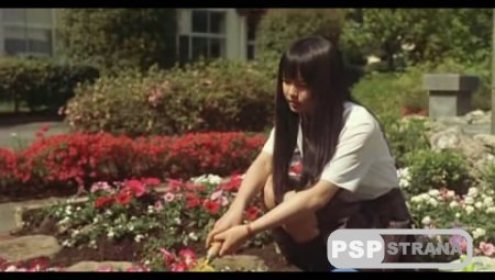    / Kimi ni Todoke (2011) DVDRip