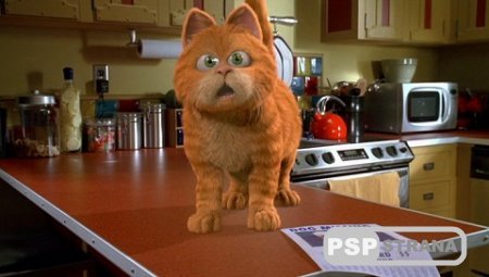  / Garfield (2004) BDRip