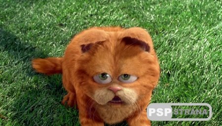  / Garfield (2004) BDRip