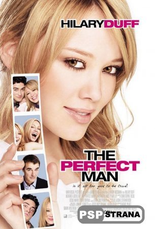 PSP    / The Perfect Man (2005) DVDRip