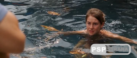 PSP   / The Descendants (2011) DVDScr |   TS