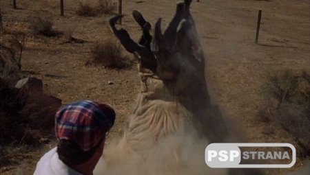   3:    / Tremors 3: Back to Perfection (2001) DVDRip