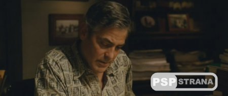  / The Descendants (2011) DVDRip