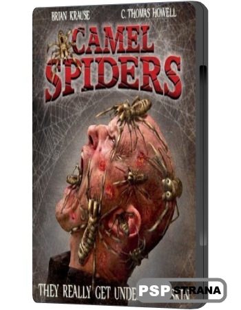   / Camel Spiders (2012) HDRip