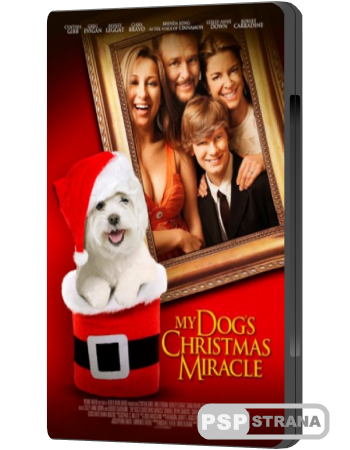 - / My Dog's Christmas Miracle (2011) DVD R5
