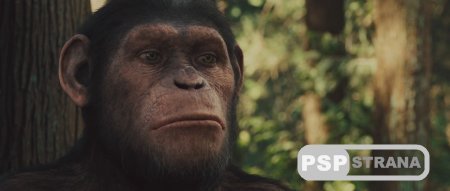    / Rise of the Planet of the Apes (2011) BDRip 1080p