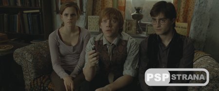 Гарри Поттер и Дары смерти: Часть 1 / Harry Potter and the Deathly Hallows: Part 1 (2010) BDRip 1080p