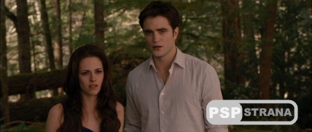 . . :  2 / The Twilight Saga: Breaking Dawn - Part 2 (2012) DVDRip