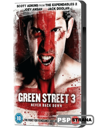 Хулиганы 3 / Green Street 3: Never Back Down (2013) HDRip
