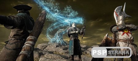 Создатели Nightreign не думали о совместной игре