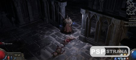Path of Exile 2      29 